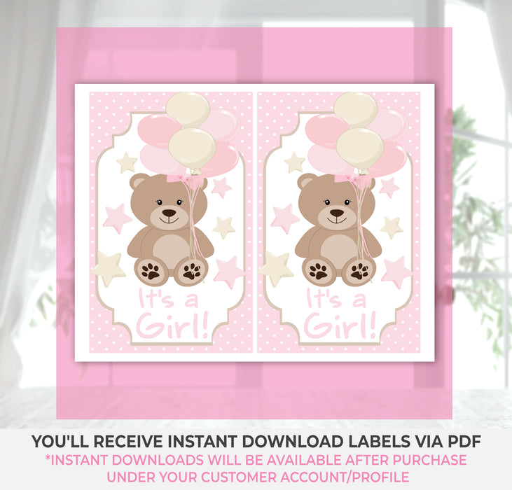 Pink Teddy Bear Baby Shower Gift Bag Label Instructions