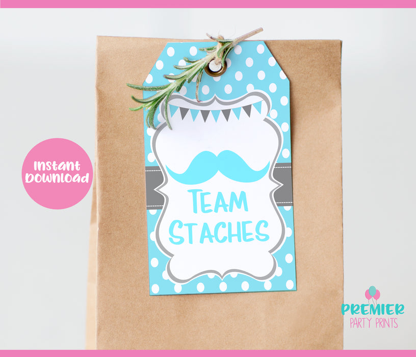  Lashes or Staches Gender Reveal Favor Tags